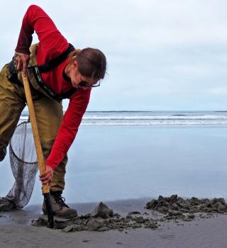 researcher digging in sand