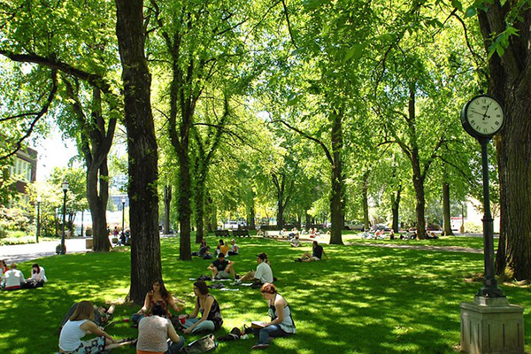 Students studying in the campus Park Blocks