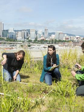 PSU students doing research on a rooftop garden
